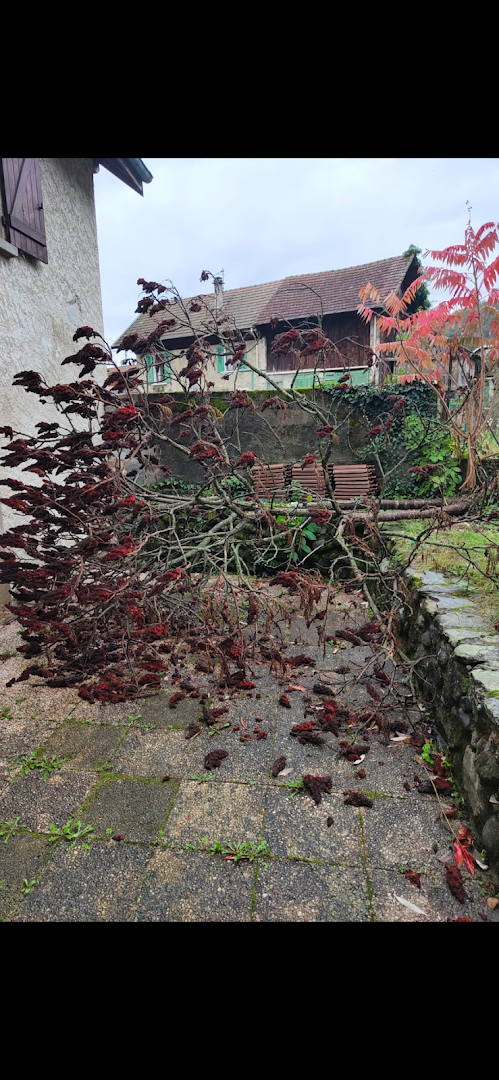 Nettoyage fin chantier CasaServices — Photos 10